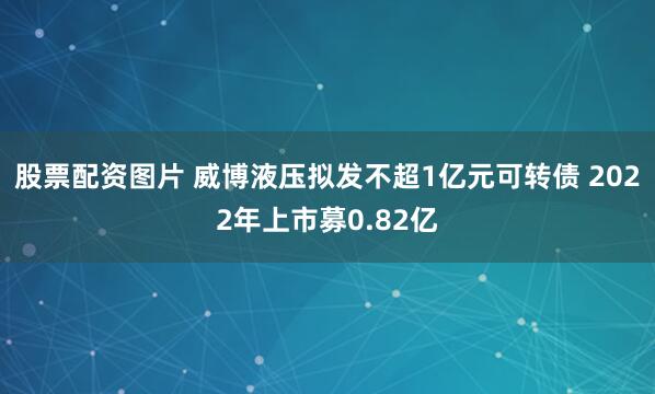 股票配资图片 威博液压拟发不超1亿元可转债 2022年上市募0.82亿