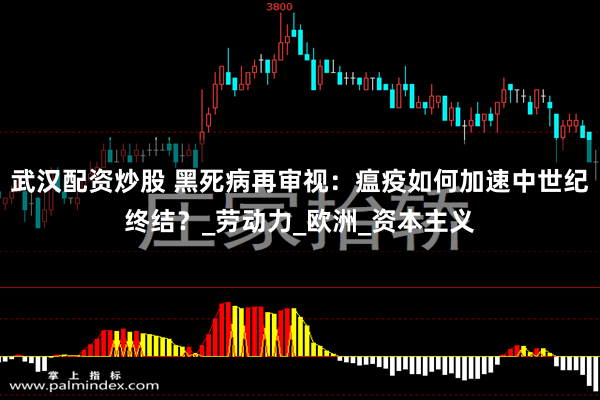 武汉配资炒股 黑死病再审视：瘟疫如何加速中世纪终结？_劳动力_欧洲_资本主义