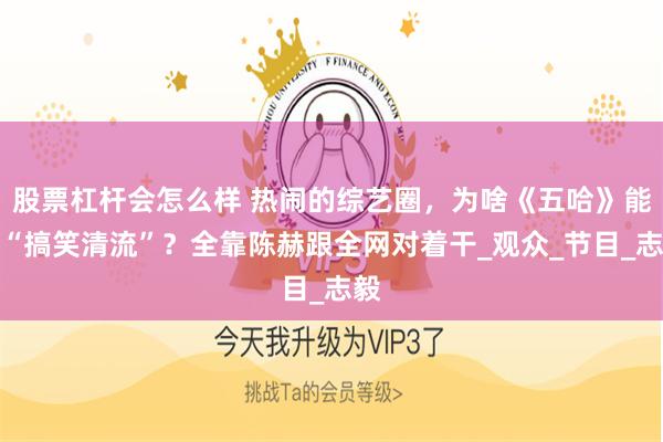 股票杠杆会怎么样 热闹的综艺圈，为啥《五哈》能成“搞笑清流”？全靠陈赫跟全网对着干_观众_节目_志毅