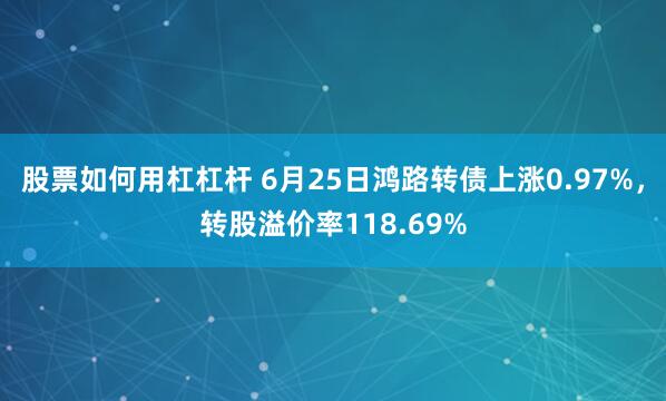 股票如何用杠杠杆 6月25日鸿路转债上涨0.97%，转股溢价率118.69%