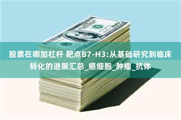 股票在哪加杠杆 靶点B7-H3:从基础研究到临床转化的进展汇总_癌细胞_肿瘤_抗体