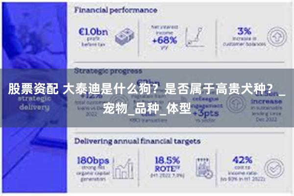 股票资配 大泰迪是什么狗？是否属于高贵犬种？_宠物_品种_体型