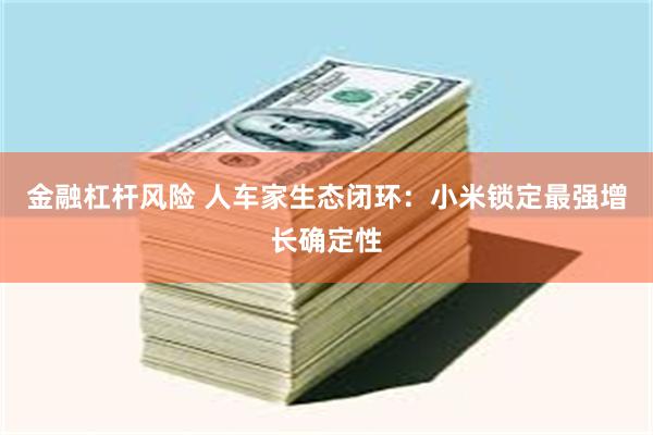金融杠杆风险 人车家生态闭环：小米锁定最强增长确定性