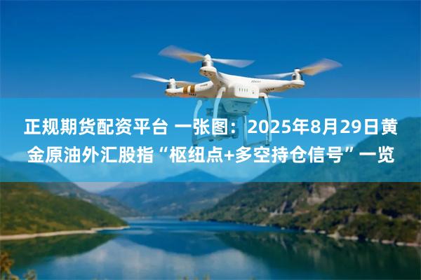 正规期货配资平台 一张图：2025年8月29日黄金原油外汇股指“枢纽点+多空持仓信号”一览