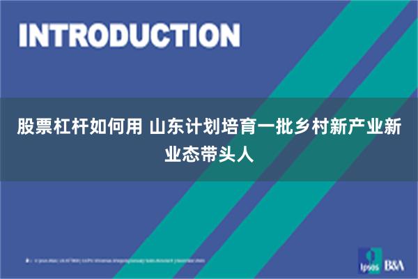 股票杠杆如何用 山东计划培育一批乡村新产业新业态带头人